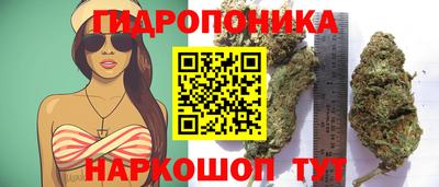 шишки Малгобек