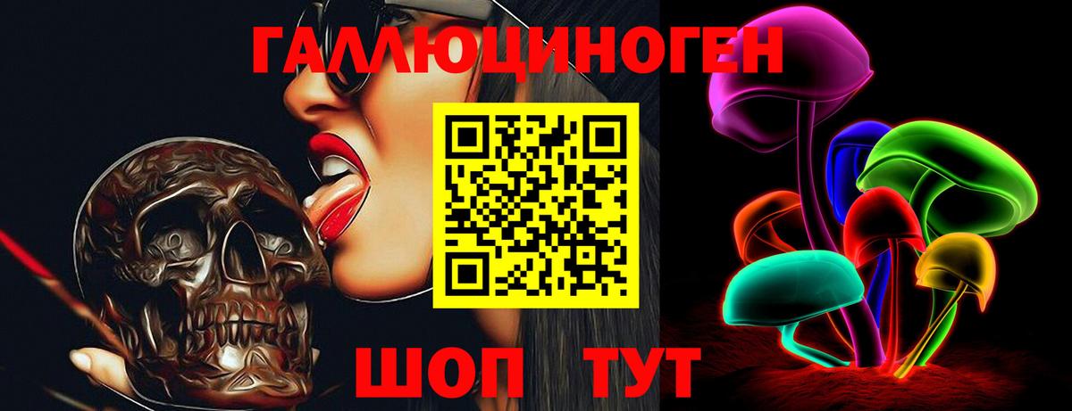 Псилоцибиновые грибы мухоморы Димитровград