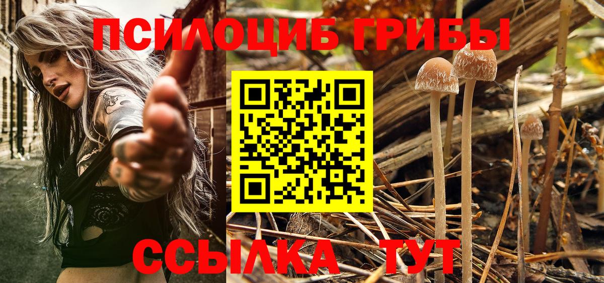 Галлюциногенные грибы Magic Shrooms  Вход с VPN  Димитровград 